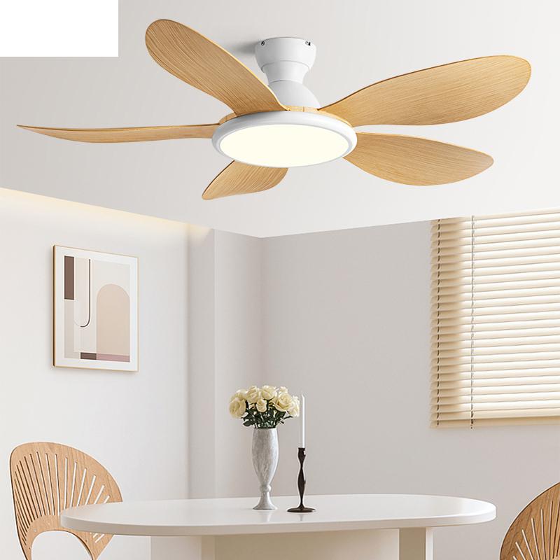 Ceiling Fan Dc Motor 52 Inch - 42/52inch Modern LED 60W Low Floor