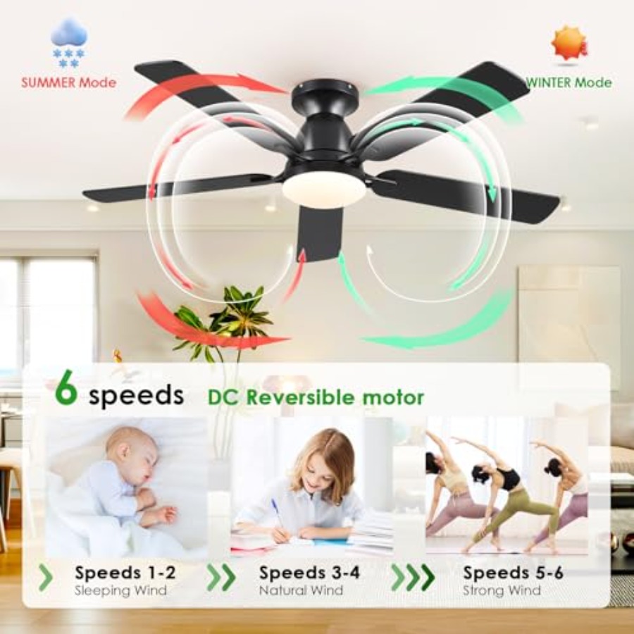 Ceiling Fans with Lights 52 In - Ceiling Fan Low Profile Flush Mount review and price