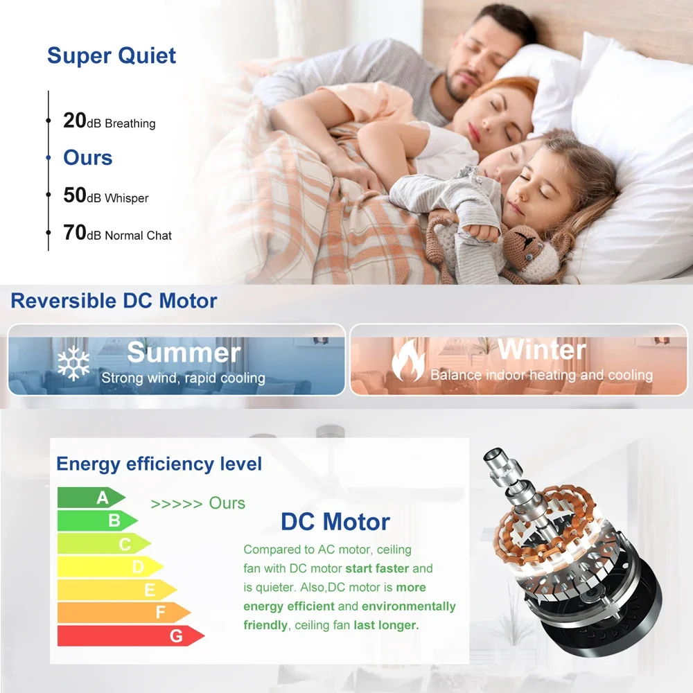 Gold Seller Stylish High Quali - Ceiling Fan Outdoor Damp Rated review and price