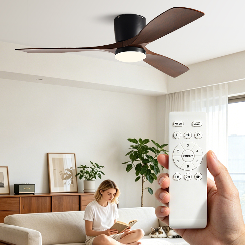 42/52 Inch Low Floor Strong Fa - Ceiling Fan Dc Motor 52 Inch review and price