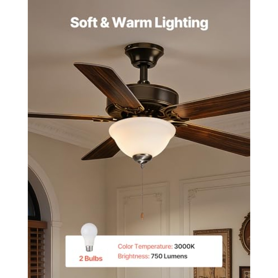 Ceiling Fan Light Kit 750lm 30 - Ceiling Fan Light Kit Replacement review and price