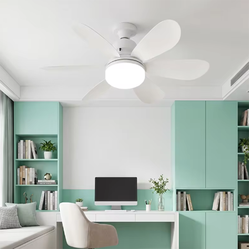 2026 New E26/E27 Screw Mount F - Smart Ceiling Fan With Light Remote review and price