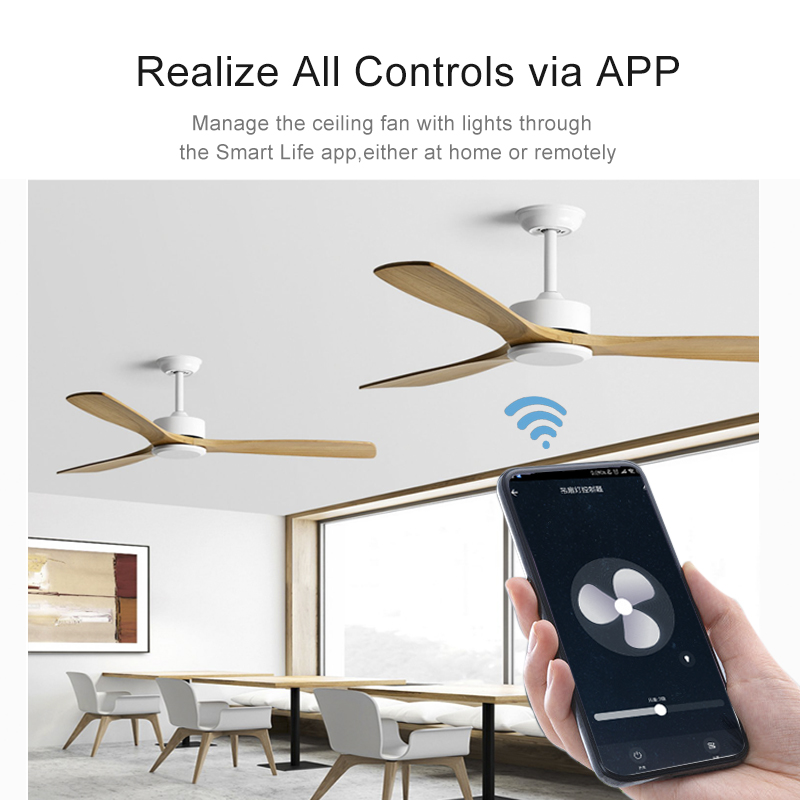 Tuya WiFi Smart Life Ceiling F - Smart Ceiling Fan Alexa Wifi review and price