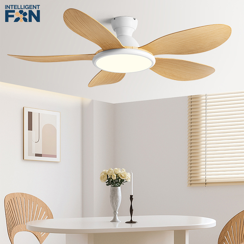 42/52inch Modern LED 60W Low F - Ceiling Fan Dc Motor 52 Inch review and price