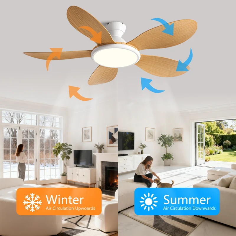42/52inch Modern LED 60W Low F - Ceiling Fan Dc Motor 52 Inch review and price
